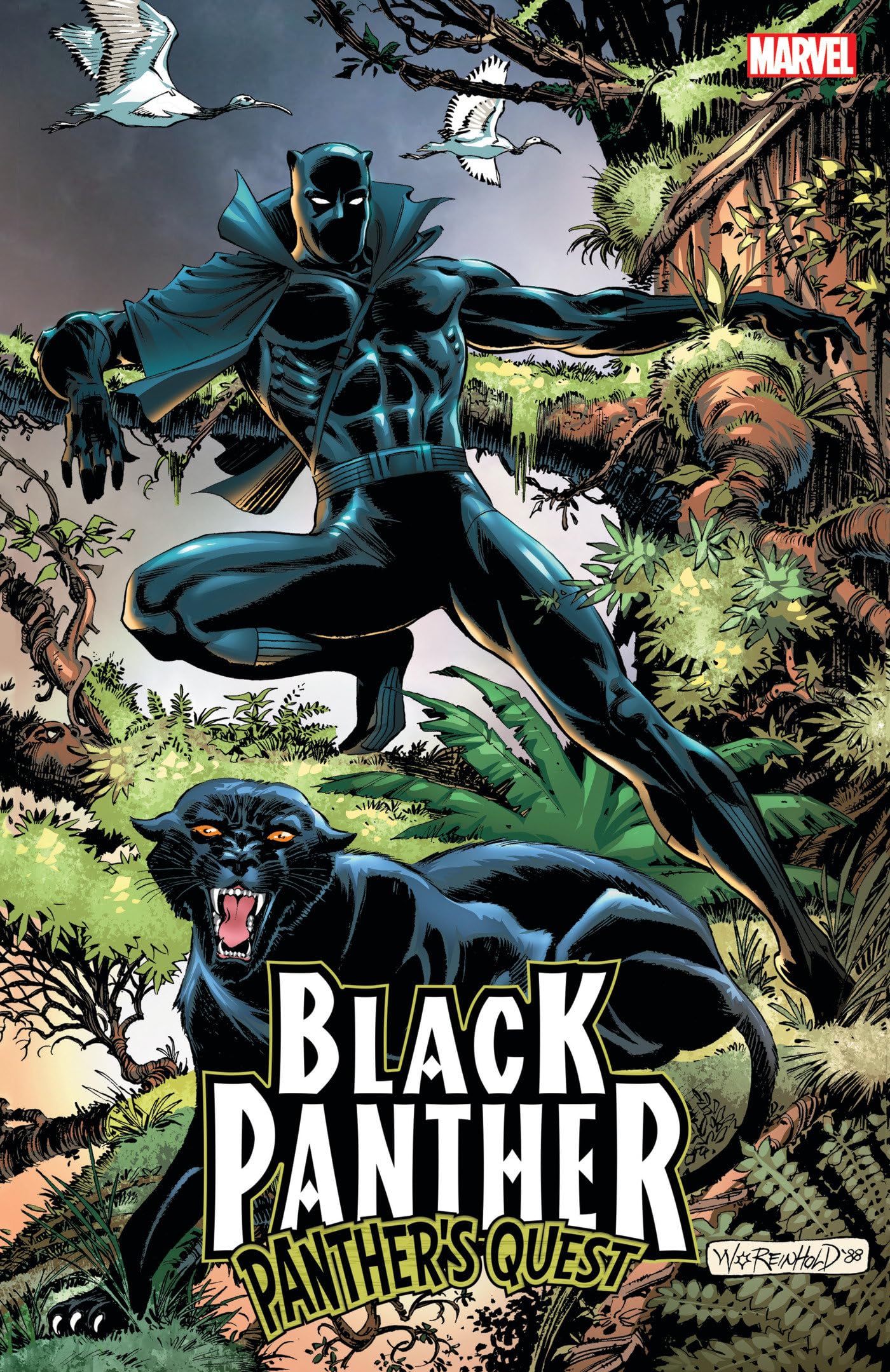 Black Panther comics cover